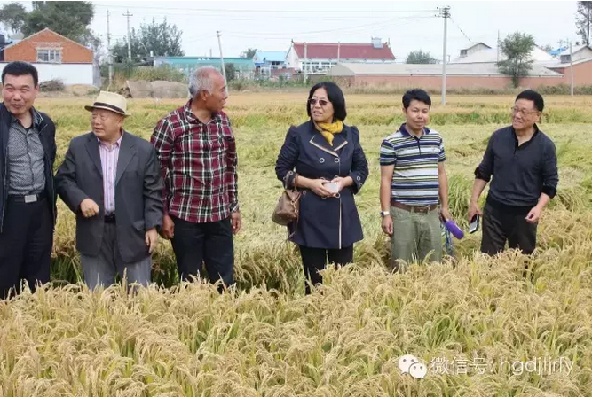 哈爾濱工大集團(tuán)沈陽(yáng)津瑞肥業(yè)有限公司