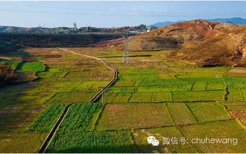 【自然有道理】農(nóng)業(yè)部喊話：土壤亞健康，要配方施肥和增施有機(jī)質(zhì)